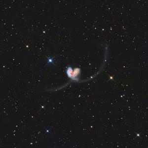 日本爸爸和女儿xnxx
